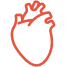 Human heart icon