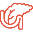 Pancreas icon