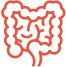 Intestines icon