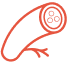 Vascular artery icon