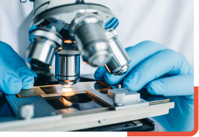 Close-up of a microscope examining cells